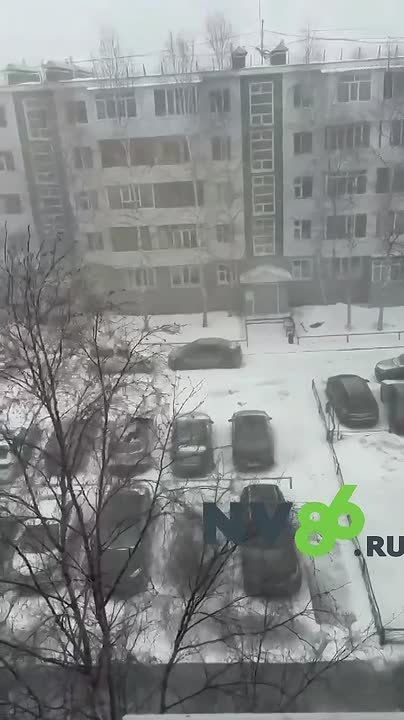 12 ������. �������������