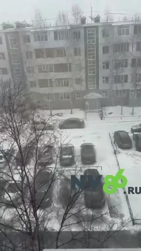 12 ������. �������������