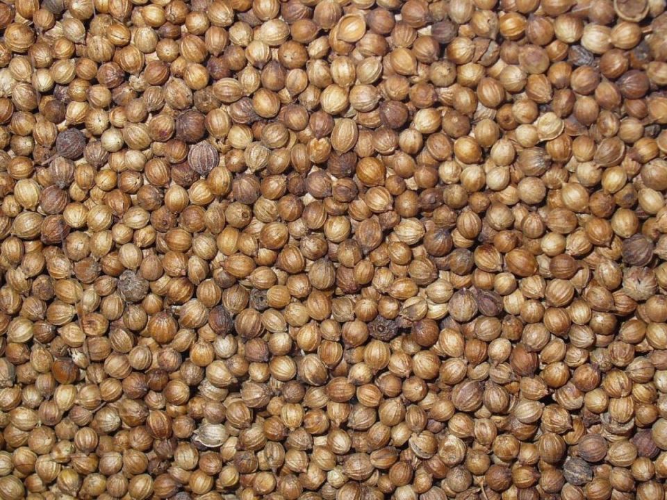 ��� ��������� ��������: ������� ��� ���������� ������