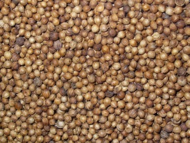 ��� ��������� ��������: ������� ��� ���������� ������