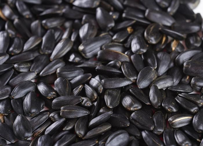 ��� ������ �� ������� ����� �������� ��� ������: ����������� �������