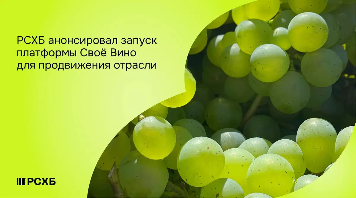 Российское виноделие обретает новый формат: цифровая платформа «Своё Вино»