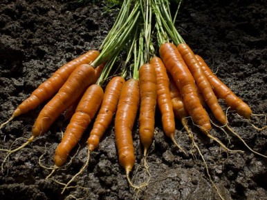 ������� ��������� ������ �������: ������ ������ �� ����������� ���� ��� ��� ���������