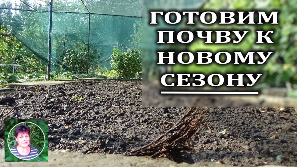 ���������� ����� � ������ ������: ������ ��� ��������� �������