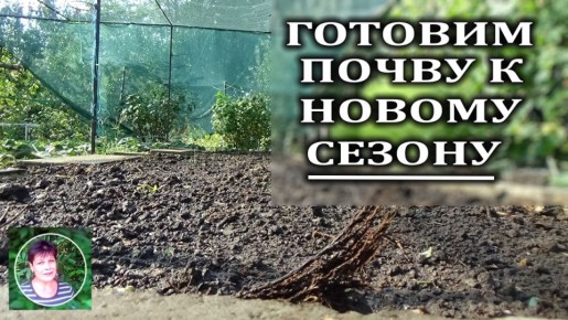 Подготовка почвы к новому сезону: советы для успешного огорода