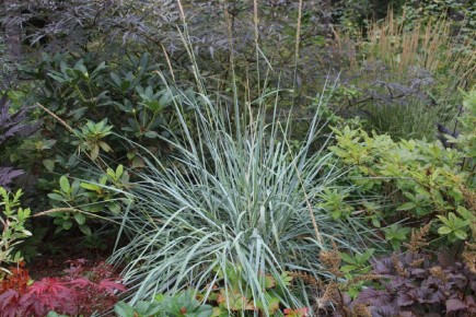 ������ �����: ��� ��������� ��������� �� ��������� ���������� � ����