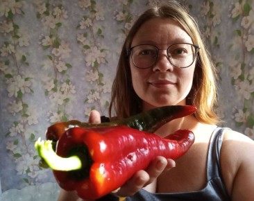 Пять ярких сортов перца для вашего огорода: выбираем лучших!
