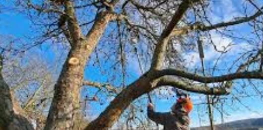 ��� ��������� �������� ������ � ������� ������: ����������� � �������