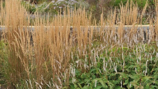 ������ � ����: ��� �������, �������� � ��������� �� ���� ������