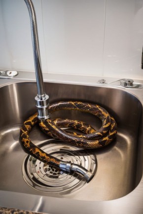 ��� ������� � ������������ �������������� ���� ��� ������������ ���������� �������