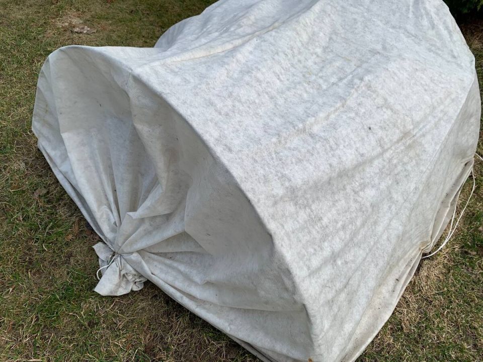 ����� ���� ��������� ����: ������ �� ����� ������