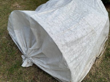 ����� ���� ��������� ����: ������ �� ����� ������