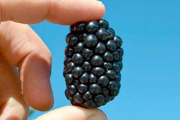 ������� �����: ��������� �� ������� � ������������� � ������� ����