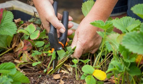 ������ ���� �� ��������� � ������� ���������� ����� ��� �������� ������