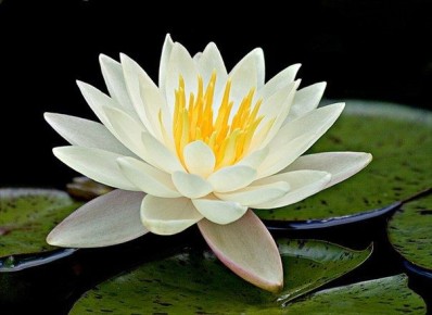 ������� ������ � ��������: ��������������� ���� �������-�����