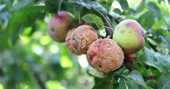 ��� ��������� �� ��������, ����� �������� ������� ����� ������