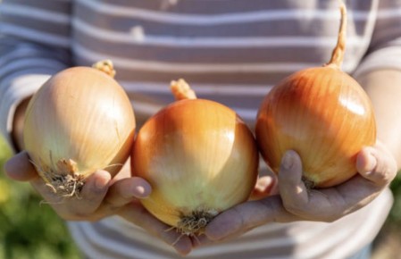 ��� ��������� ���������� ��� � ���� ��� ��������� ��������� � �������� ������