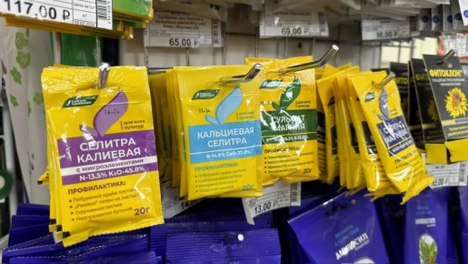 ������ ������� ��������� ����� ��������� ������ ����