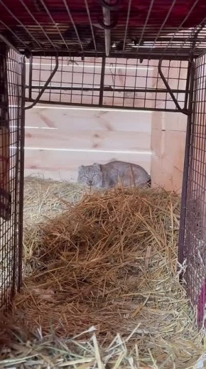 �������� � ���� ���� ���� ��� �������