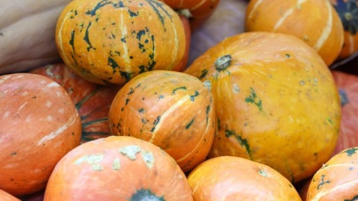 ���������������� ��������� �� �������� �������: ������� �������� � ����� ������