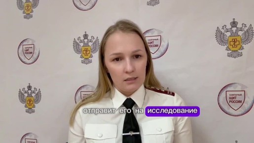 ����� ���������� ������ ������������