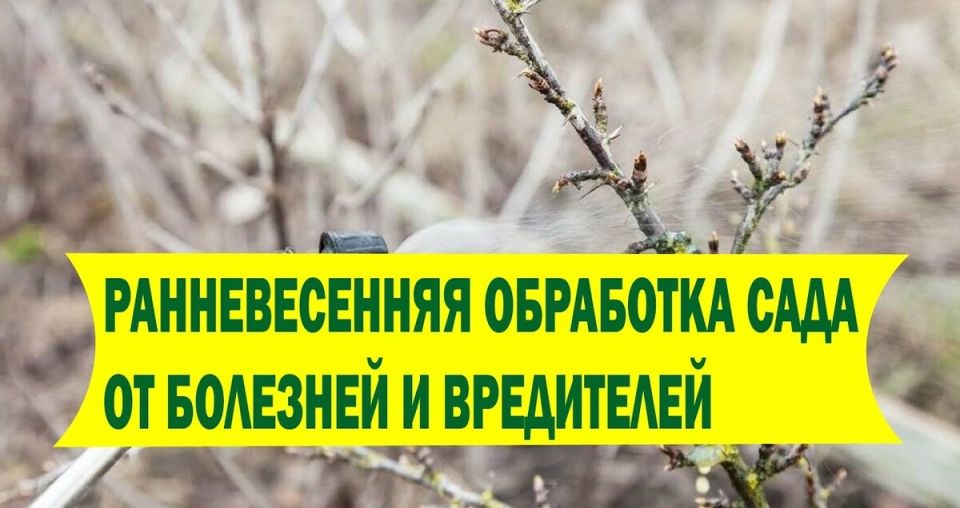 �������� �����: ��� ��������� ������������ ��� � �����