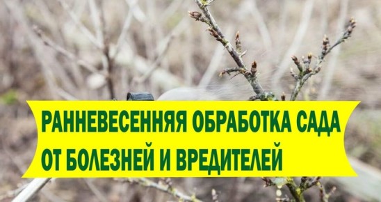 �������� �����: ��� ��������� ������������ ��� � �����