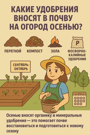 ��������� ��� ����: ��� ����������� ������ ��� ��������� ������