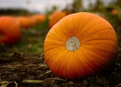 ��� �������� ����� �����: ������� ������� �������� �� �����