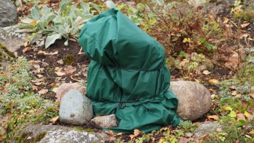 �������� ���� � �����: ��� �������� ���������� � ������ ������