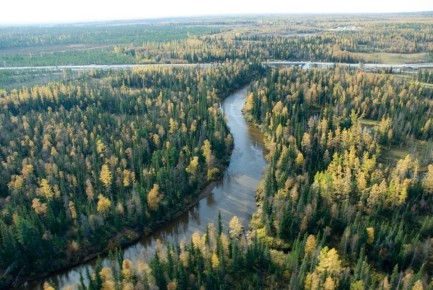 �� ���� ��������� 65 ��������� � �������� ����������