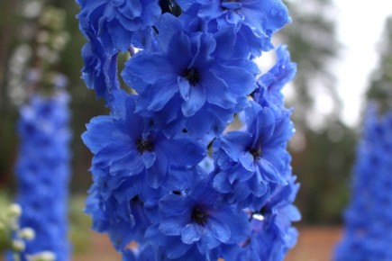 ����������� � ����: ������� ����� �� �������� ������������