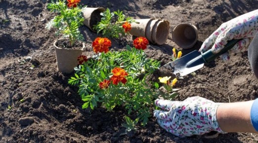 ������� ������ � ������: ������� ��������� �������� ����� ����������