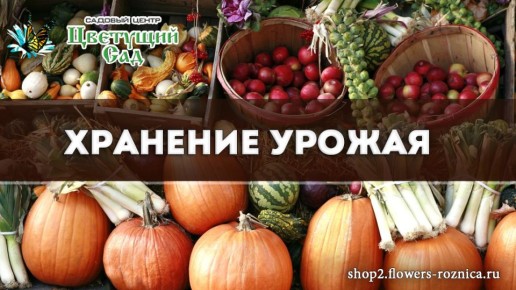 ���������� ������: ������� ������� �������� ������ � �������