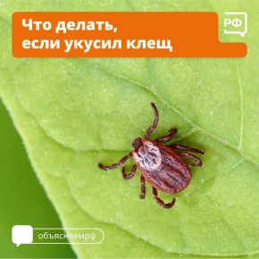 � ���� ����������� ��� ���������� ������
