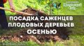 ������� ����������: ��� ��������� ������ �������� �������