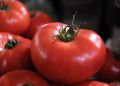 Помидоры из магазина: секреты, как сделать их сочнее и вкуснее