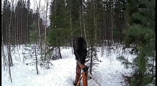 ��������� ������� �������� � ���� � ��������� �������� ����������� ��������