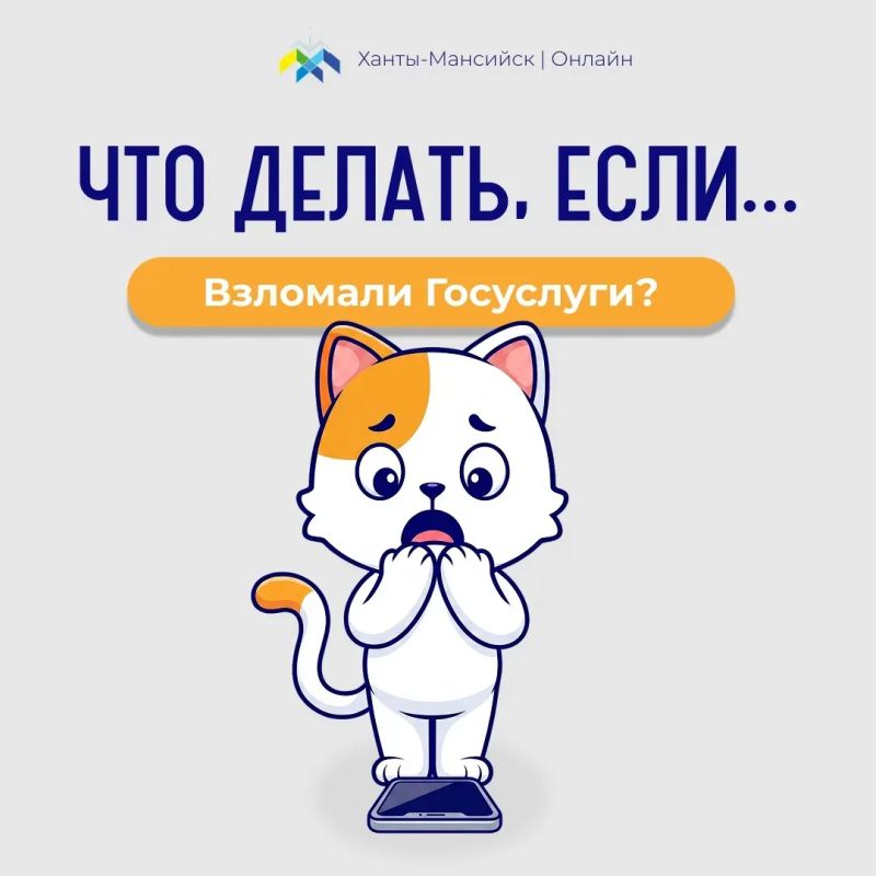 Сегодня расскажем о том, какие действия необходимо предпринимать в случае, если мошенники смогли получить доступ к аккаунту на Госуслугах