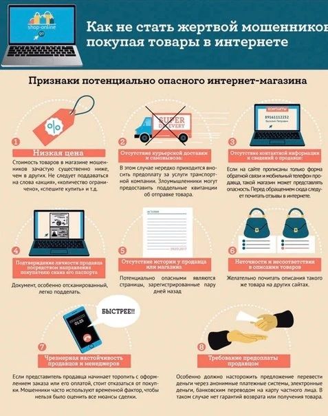 В Октябрьском районе женщина хотела купить щенка породы «Мальтипу», но стала жертвой мошенников