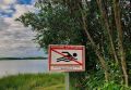 Управление по делам ГО и ЧС Администрации города напоминает о запрете купания в водоёмах Сургута