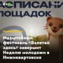 ���������� ��������� �������� ������ �������� ������ �������� � ��������������
