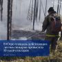 По данным Авиалесоохраны Югры на 2 июля 2026 года, на территории ХантыМансийского автономного округа действуют 35 лесных пожаров