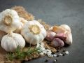 Чеснок: главные секреты сбора и хранения
