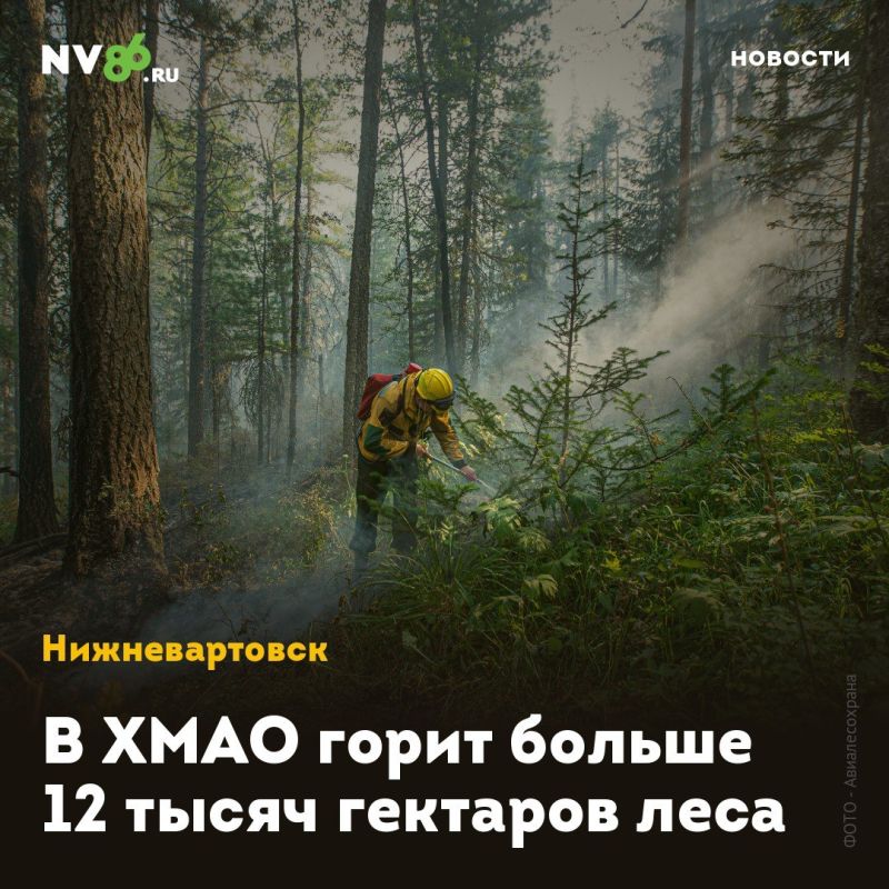 В ХМАО горит больше 12 тысяч гектаров леса