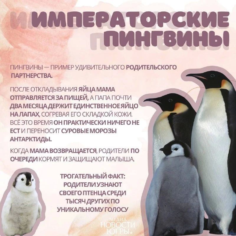 Берегите тех, кто рядом. Чаще говорите близким, как сильно вы их любите, ведь семья — самое ценное, что у нас есть Берегите тех, кто рядом. Чаще говорите близким, как сильно вы их любите, ведь семья — самое ценное, что у нас есть
