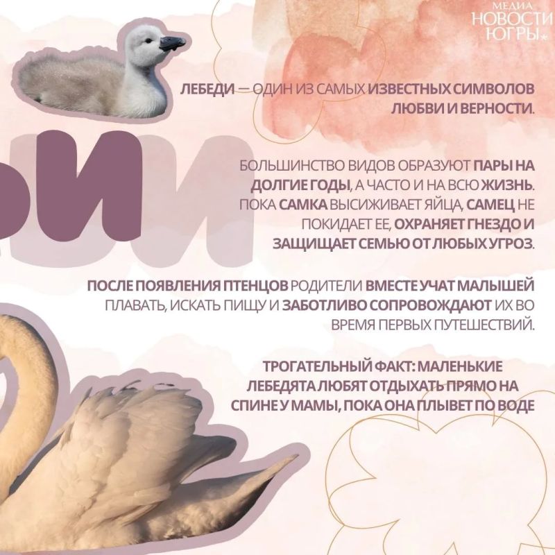 Берегите тех, кто рядом. Чаще говорите близким, как сильно вы их любите, ведь семья — самое ценное, что у нас есть Берегите тех, кто рядом. Чаще говорите близким, как сильно вы их любите, ведь семья — самое ценное, что у нас есть