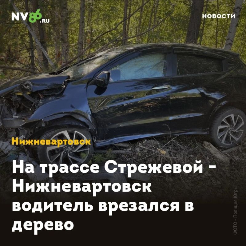На трассе Стрежевой - Нижневартовск водитель врезался в дерево