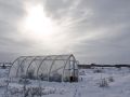 правильное хранение корнеплодов в зимний период: свежесть круглый год