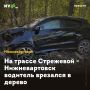 На трассе Стрежевой - Нижневартовск водитель врезался в дерево